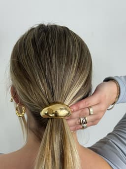Colita para cabello diseño en tendencia - imagen