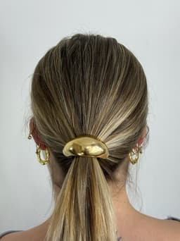 Colita para cabello diseño en tendencia - imagen