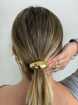 Colita para cabello diseño en tendencia - imagen