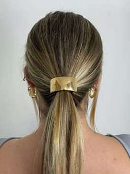 Colita para cabello diseño en tendencia - imagen