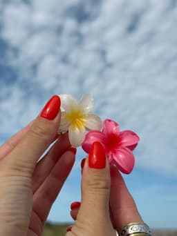Pinza chica de flor - imagen