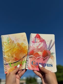 Cuaderno delicado