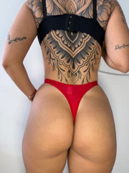 Colaless elastizada (pack de 12) - imagen