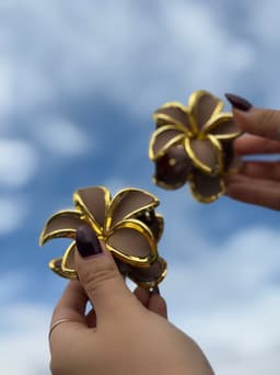 Pinza Fiore - imagen